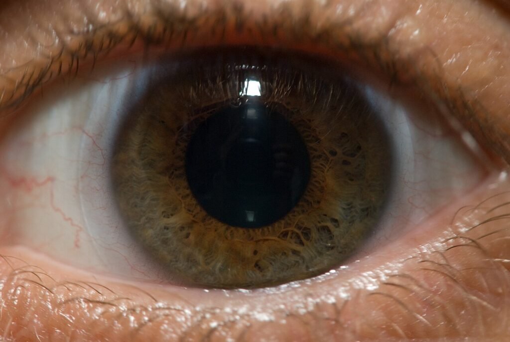 Close-up of a human eye with a green-brown iris, pupil, eyelashes and surrounding skin